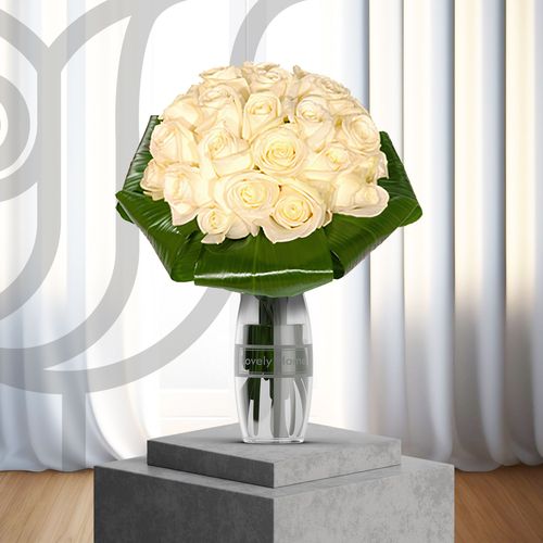 White Roses thumbnail view 1 - BuyFlowers