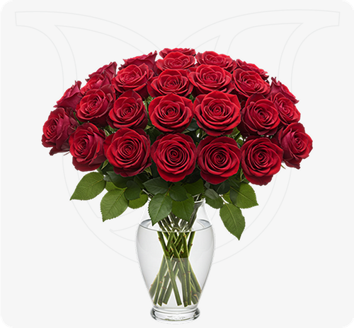 Red roses thumbnail view 1 - BuyFlowers